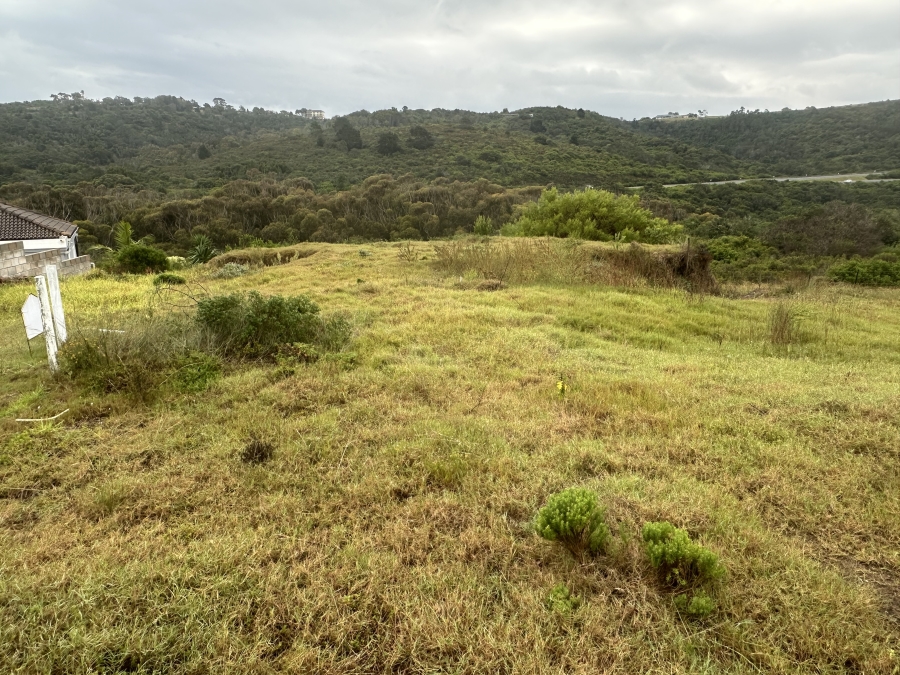 0 Bedroom Property for Sale in Pienaarstrand Western Cape